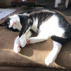 Meet your Posher, Regina